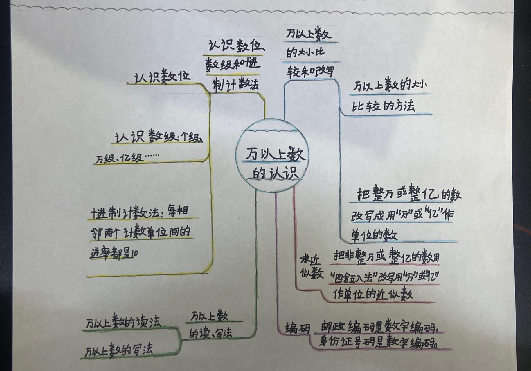 大树的认识思维导图图片