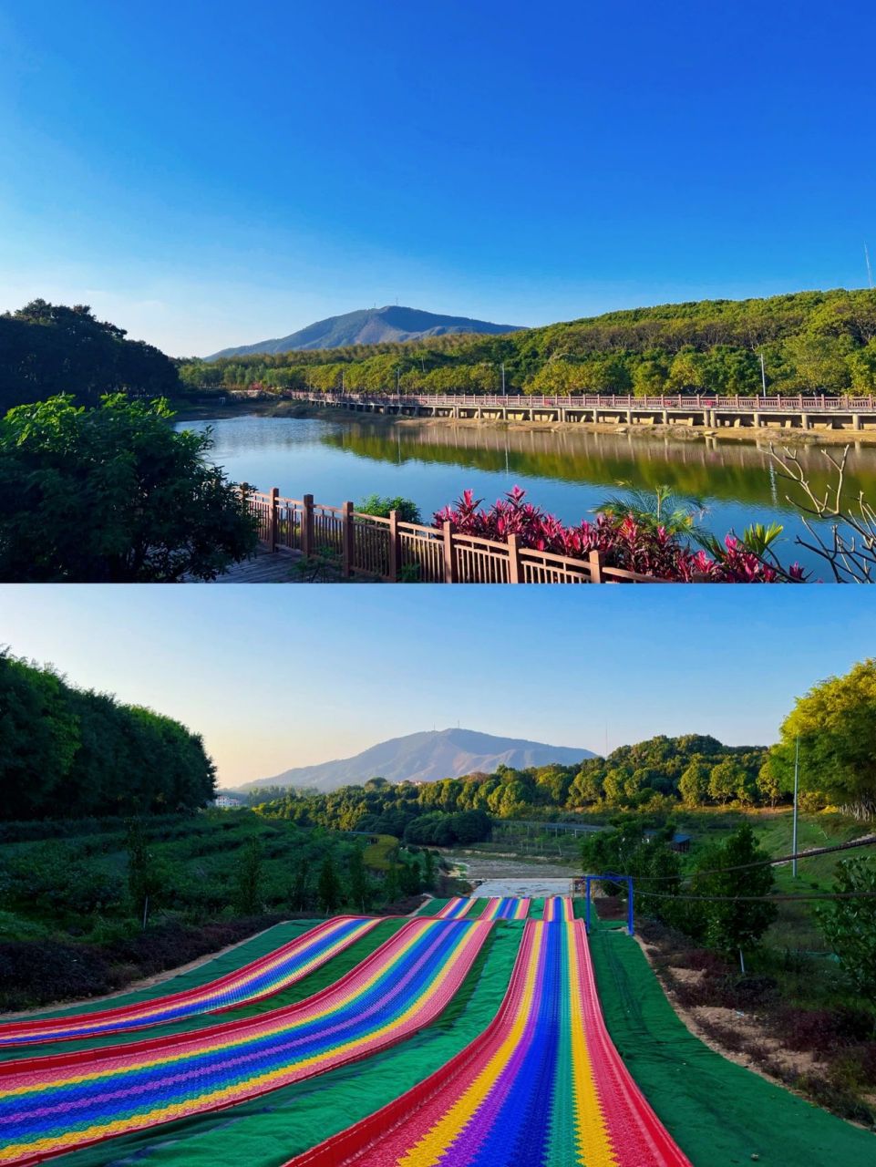 茂名网红打卡点|广垦国家热带农业公园96 91:广垦国家热带农业