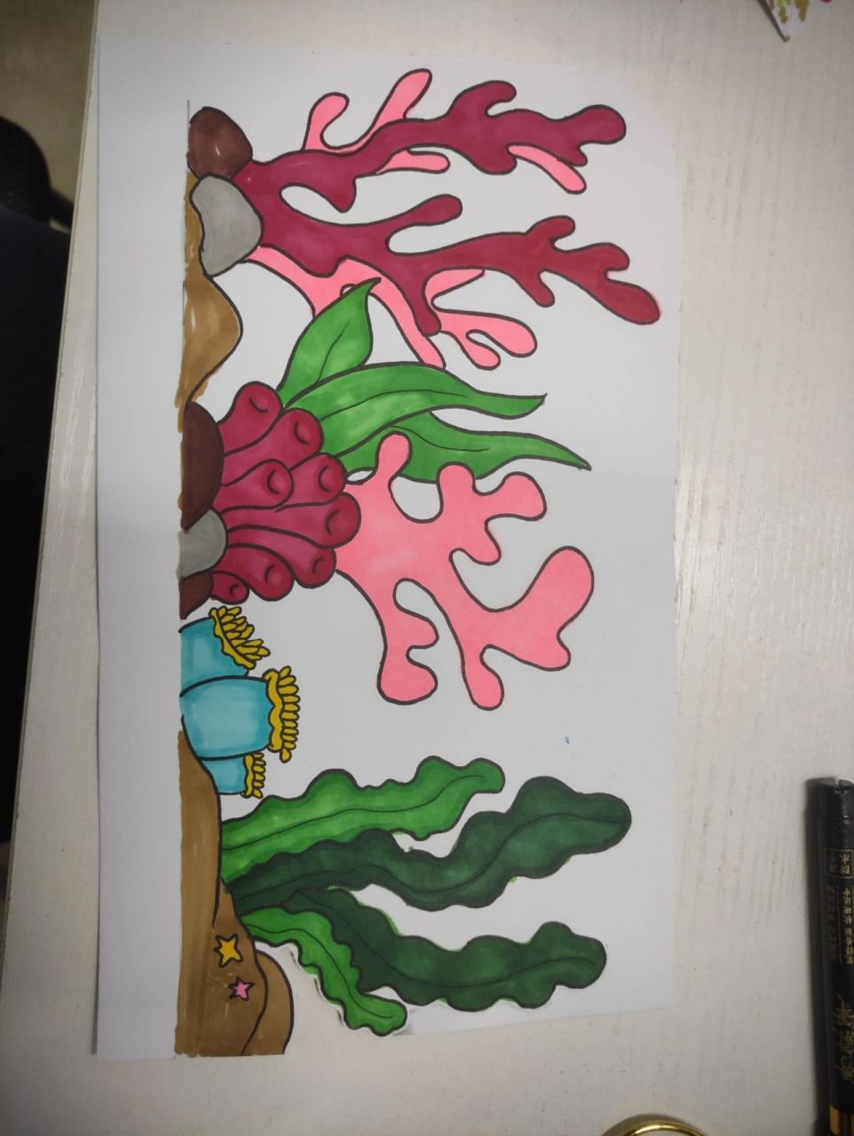海草简笔画‖海底世界‖简笔画