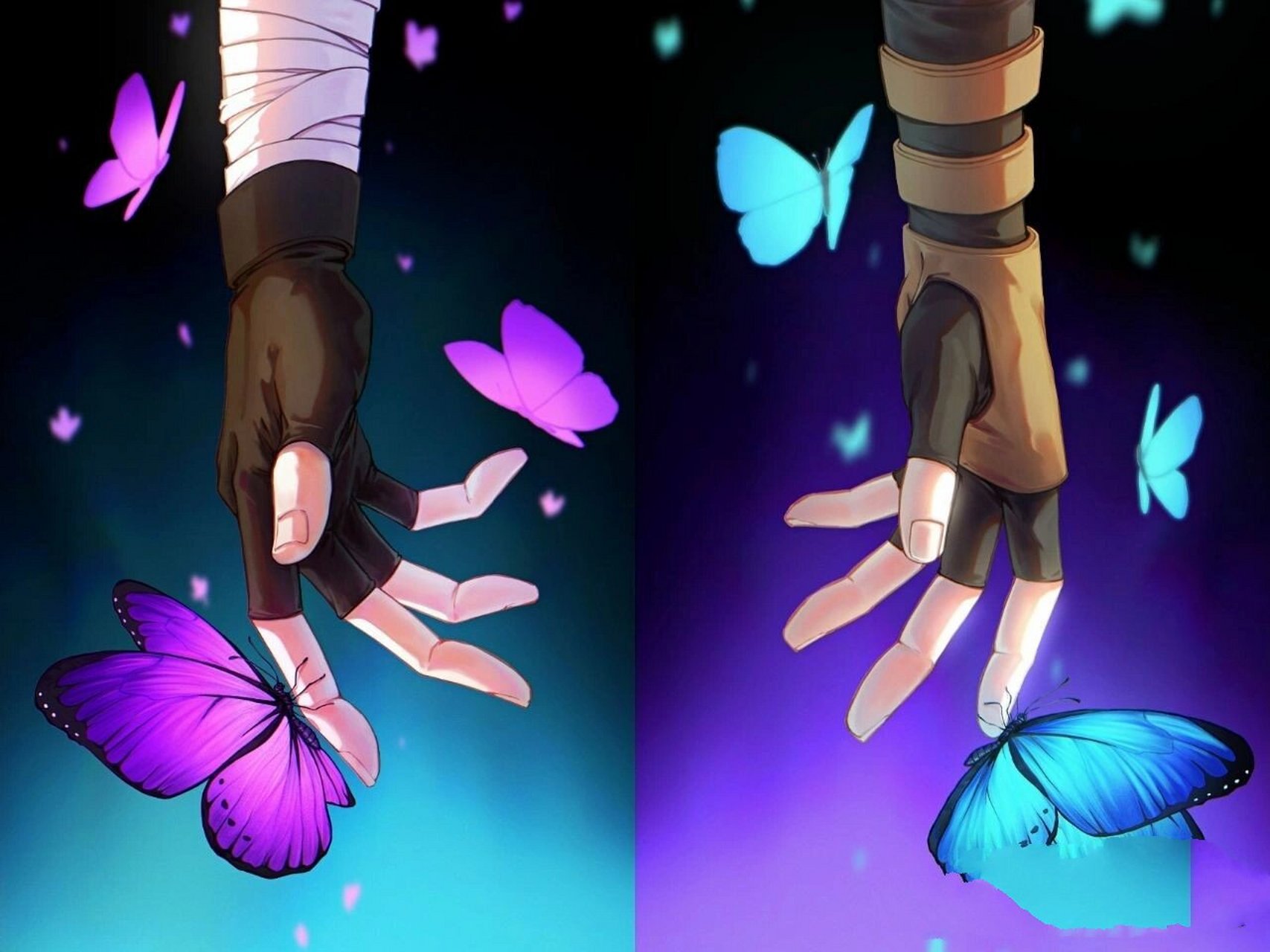 《蝴蝶海》 我叫安小五,不叫安迷修.