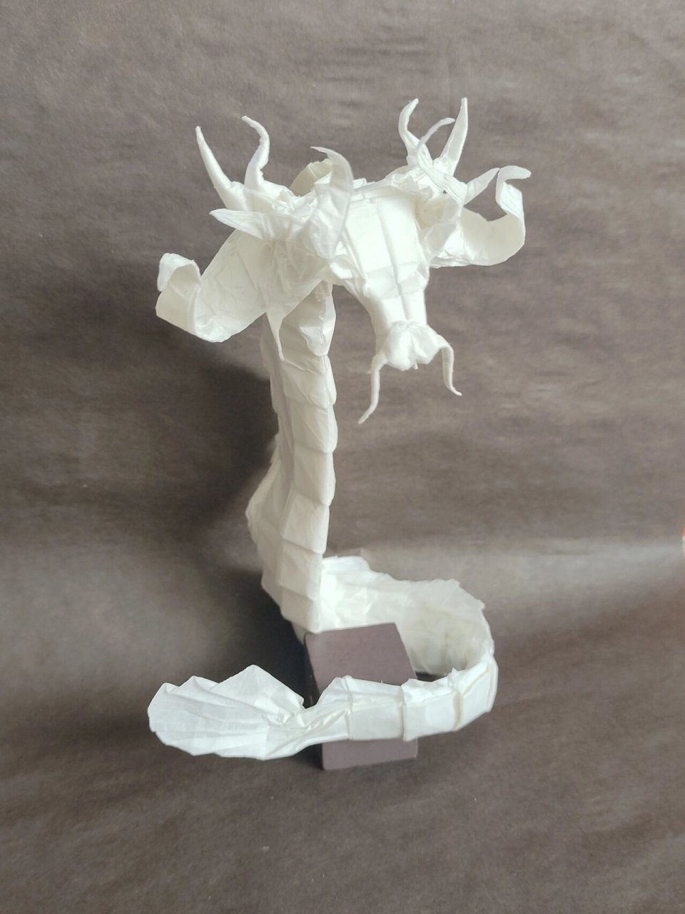 原创折纸天青牛蟒 折纸天青牛蟒,《斗罗大陆》大明,一张正方形纸完成