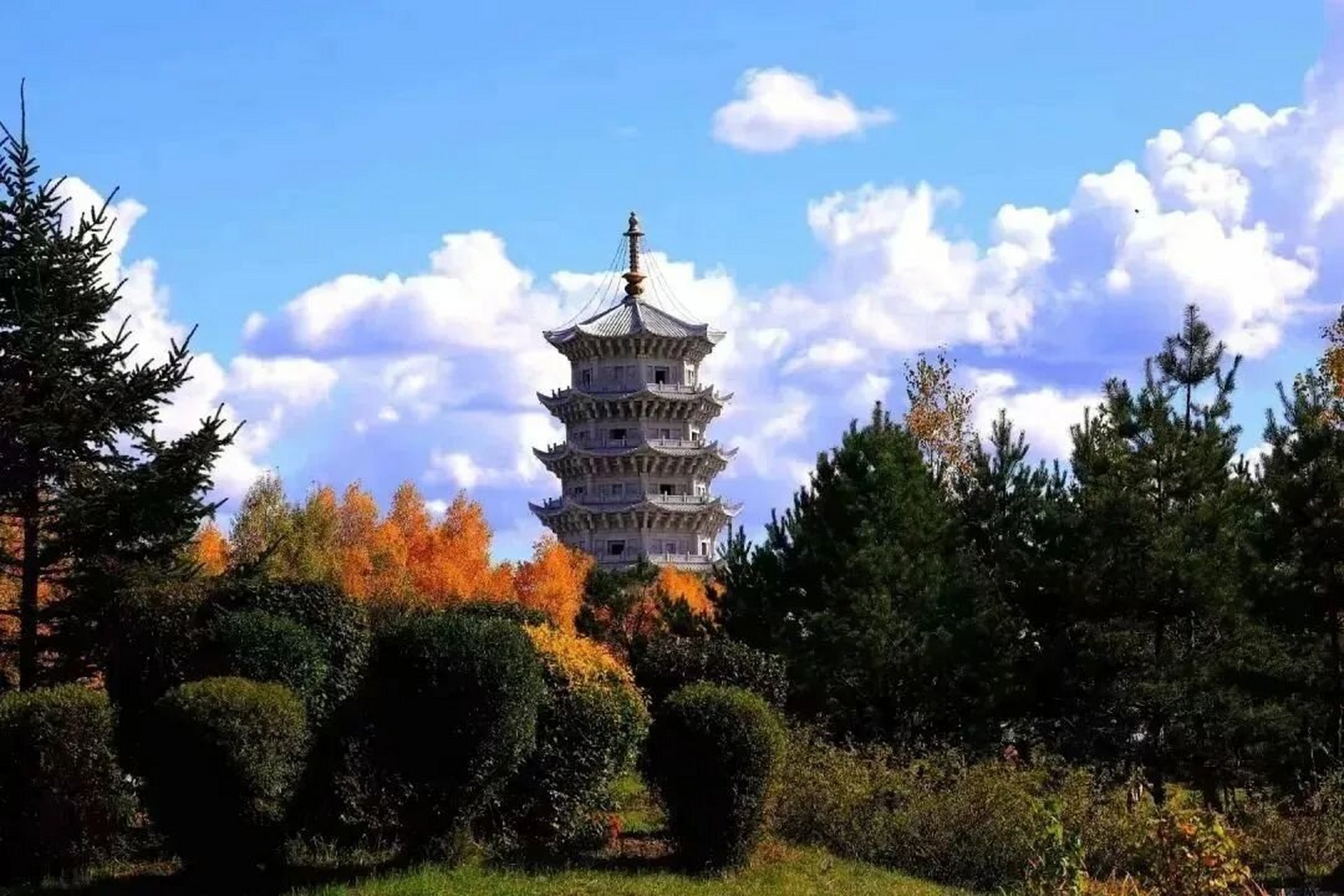 公园:神州第一龙 嘉荫恐龙国家地质公园位于伊春市嘉荫县红光乡燎原村