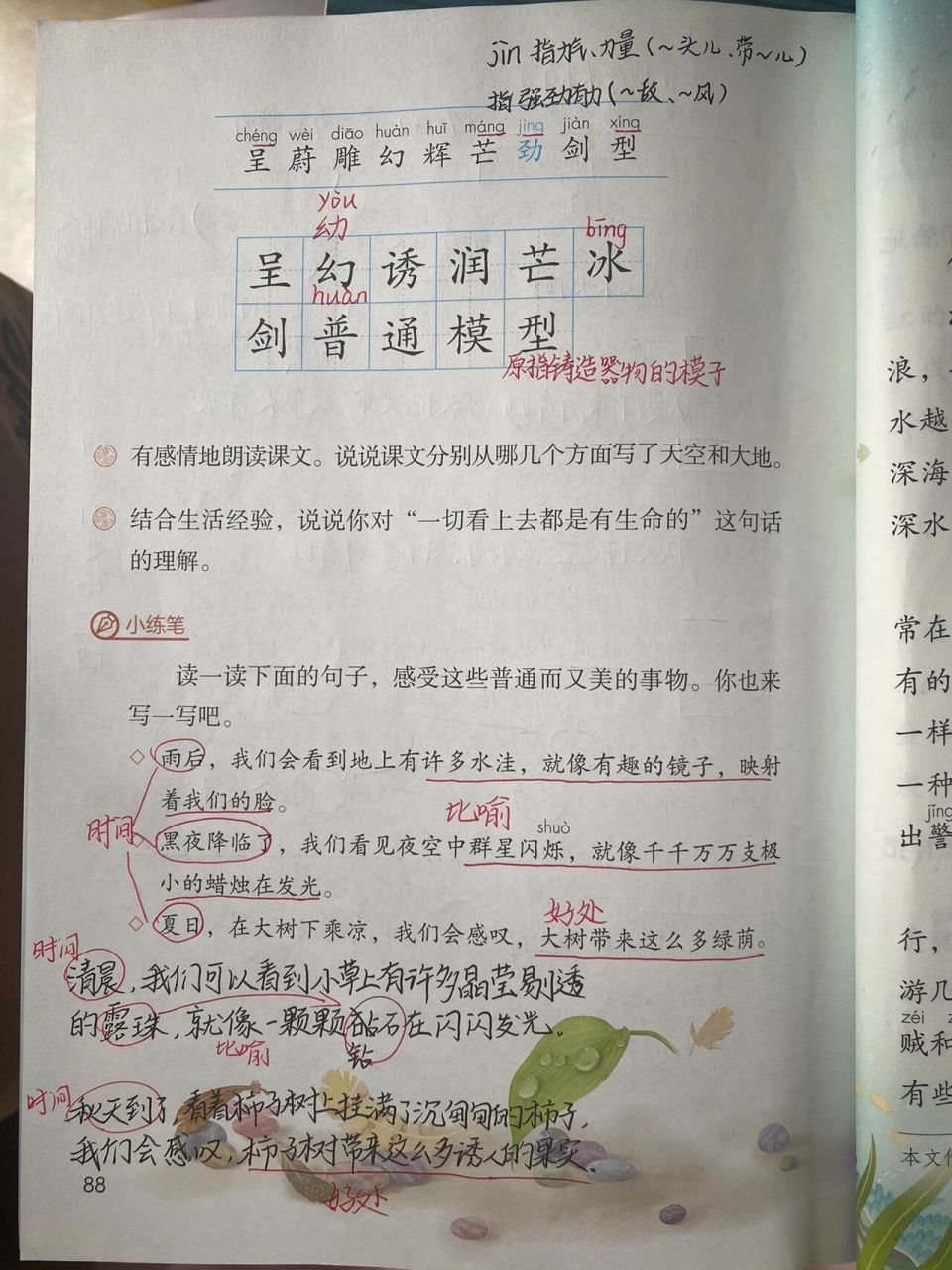 三下语文22课  课堂笔记 22我们的奇妙世界课堂笔记