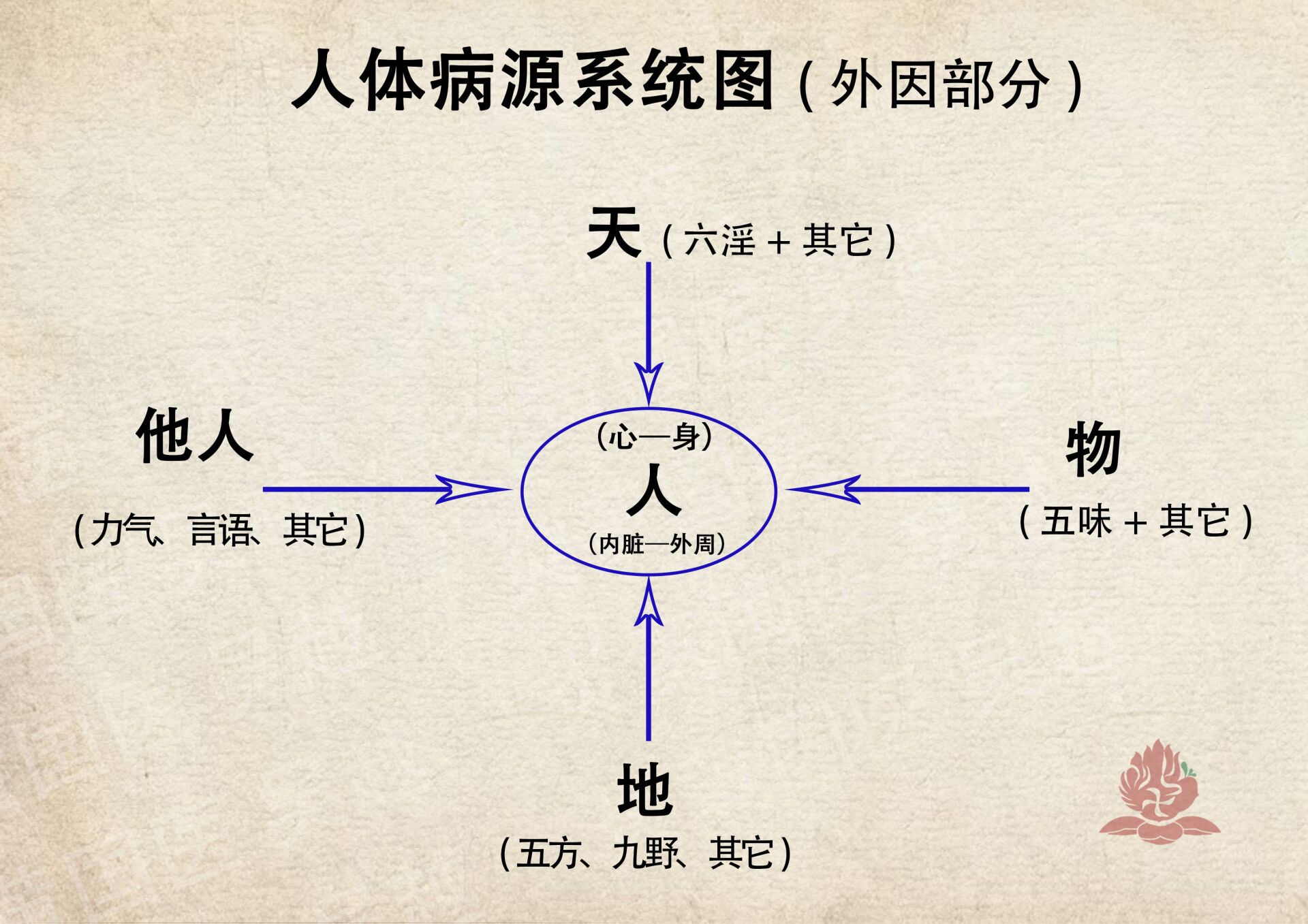 肺与肝,气与风的关系