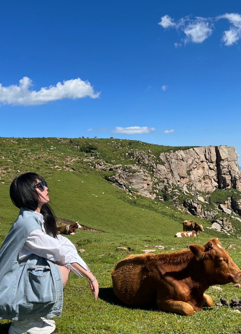 宁武芦芽山风景区图片