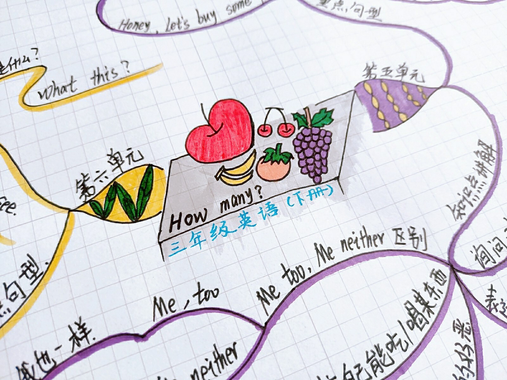 学习篇6015三年级英语思维导图(下册) 今天小川来更新三年级下册