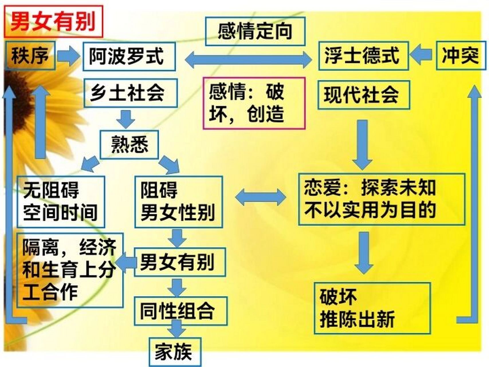 家族男女有别思维导图图片