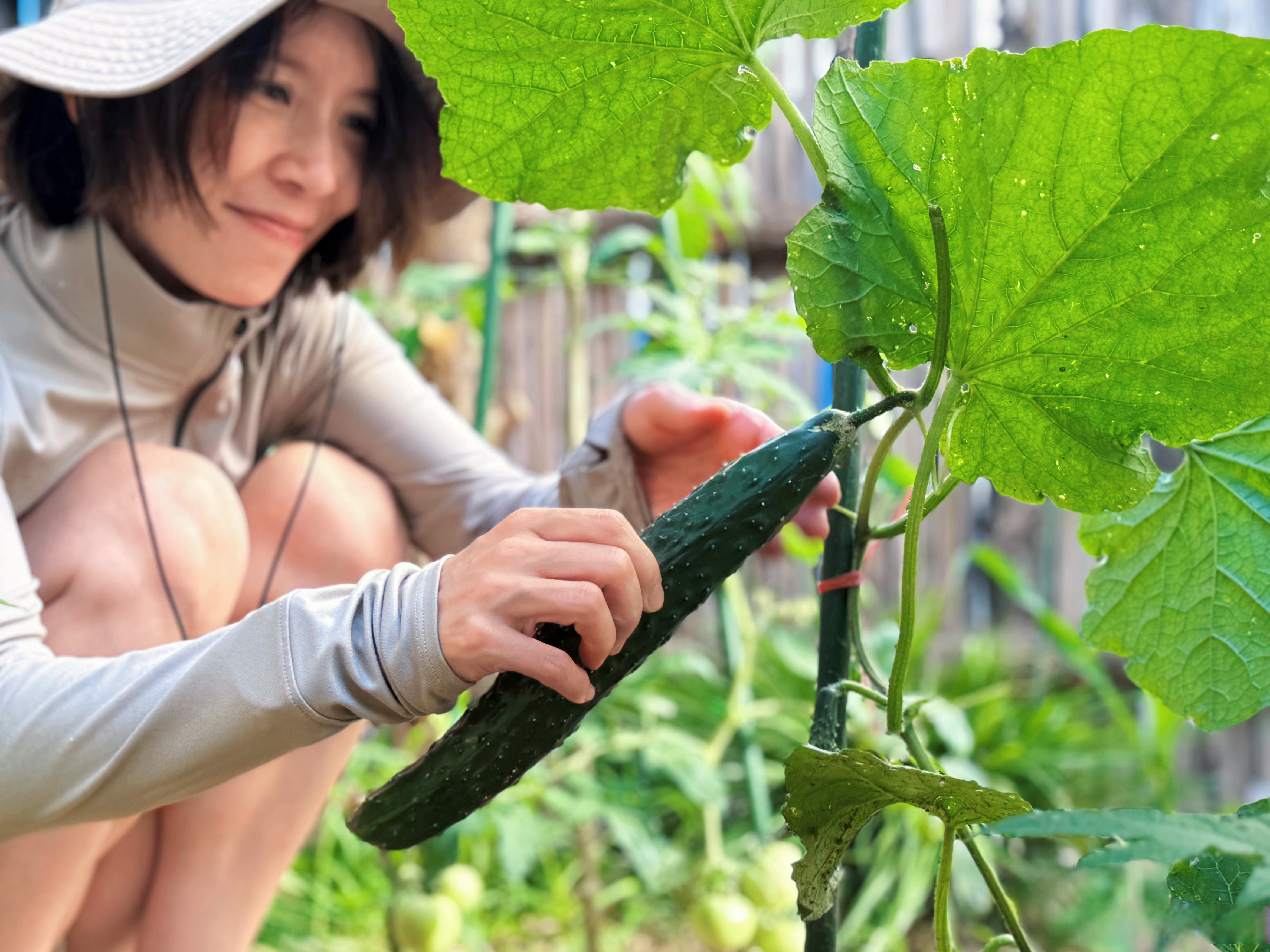 山田心夏天的样子…