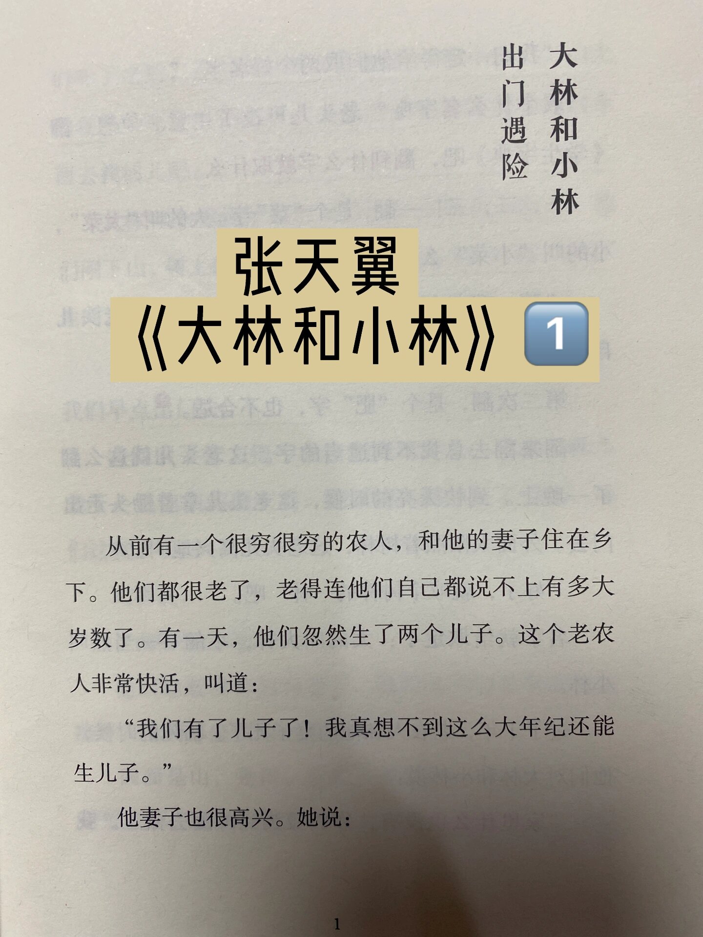 林秀兰张大宝这本书图片