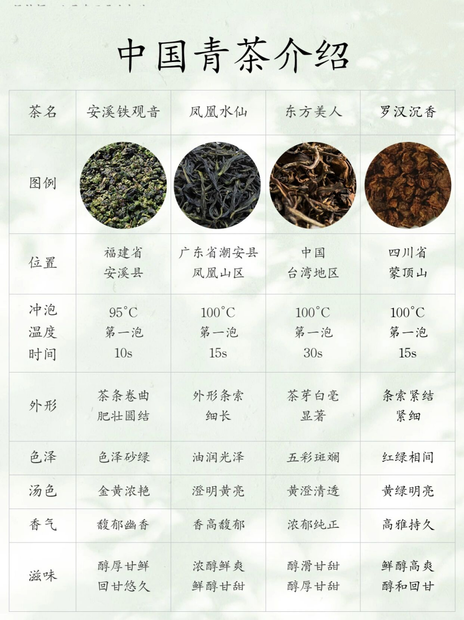 六大茶类之青茶篇36615  茶名:安溪铁观音 位置:福建安溪县 冲泡