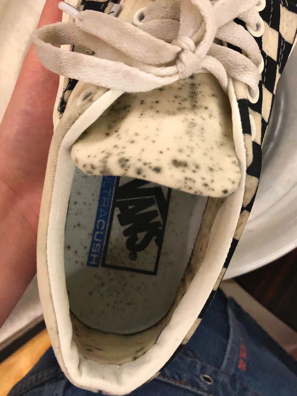 鞋子霉斑霉点如何去除!绝绝子!