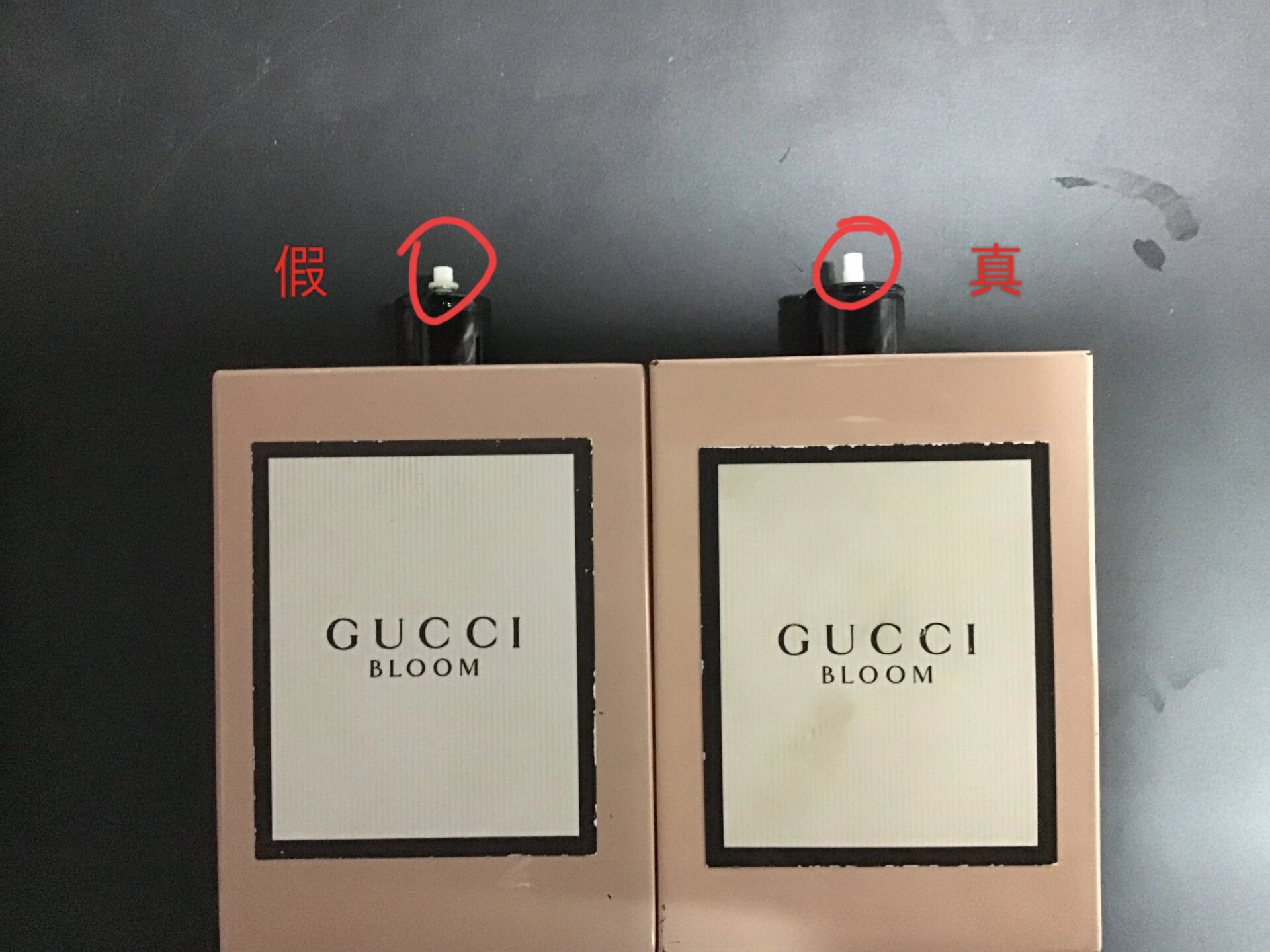 gucci真假对比图片