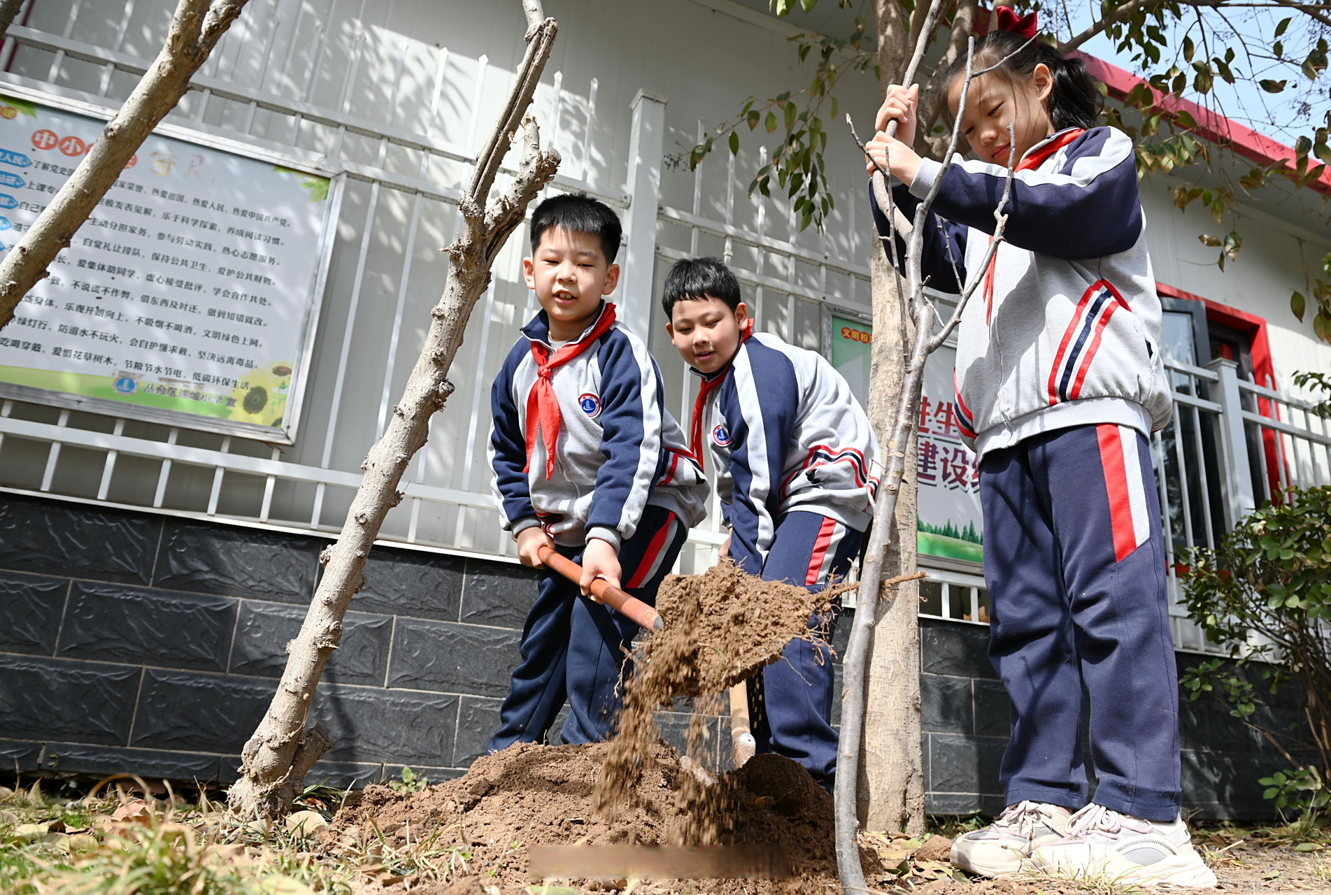 为让小学生们在保护自然中亲身体验劳动