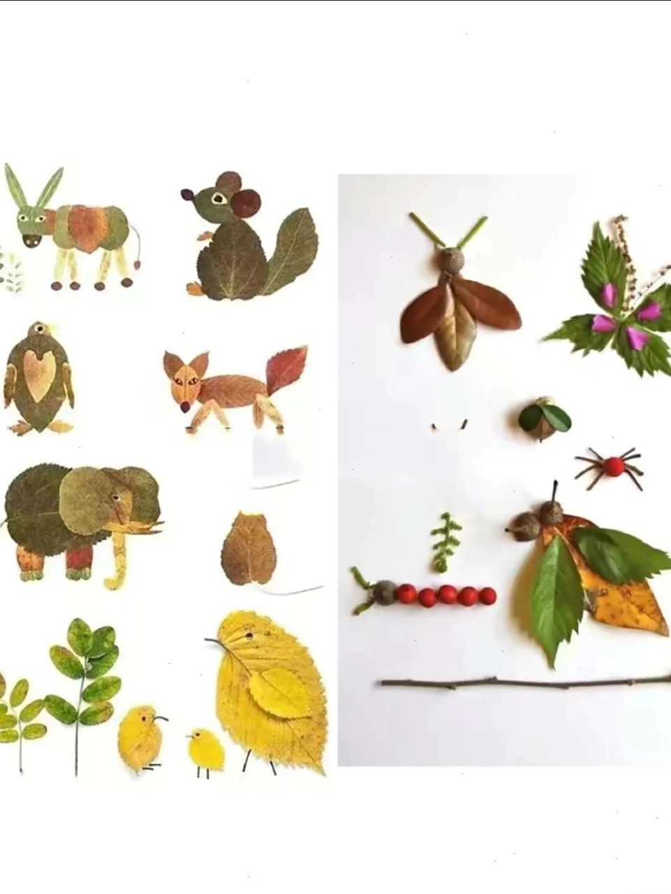 简单动物树叶贴画