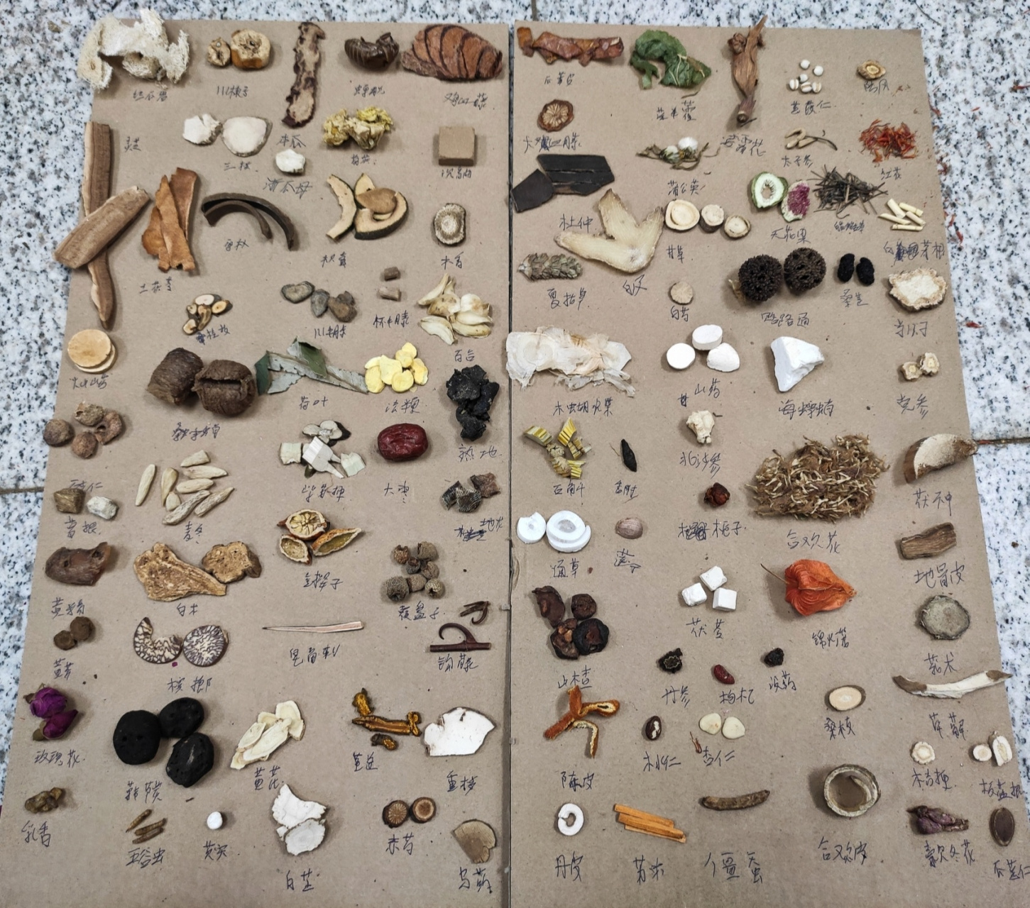 中药识别 好吧,虽然中药房抓药辛苦,但是这是认药的确最快的方法了