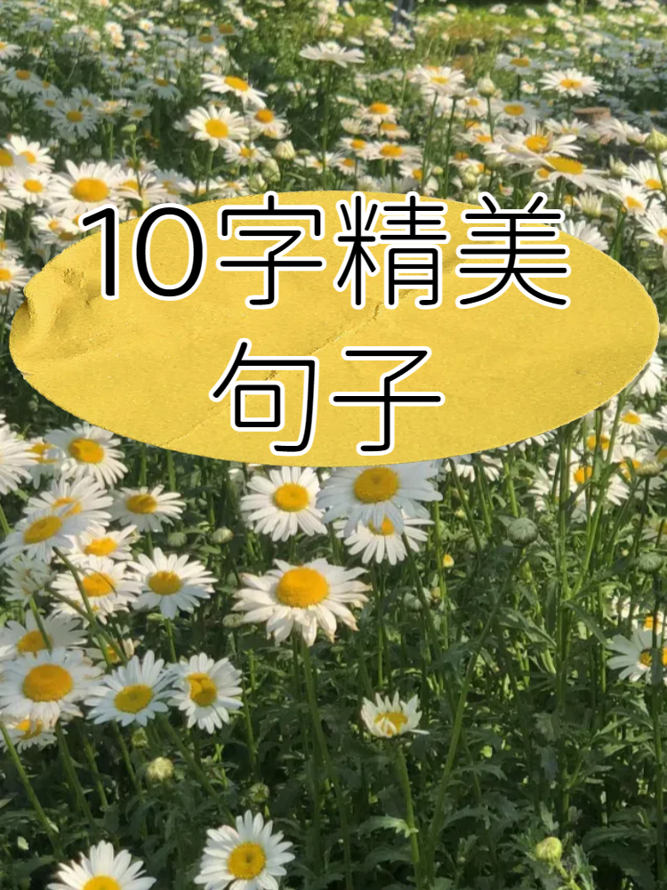 语言描写的句子10字图片