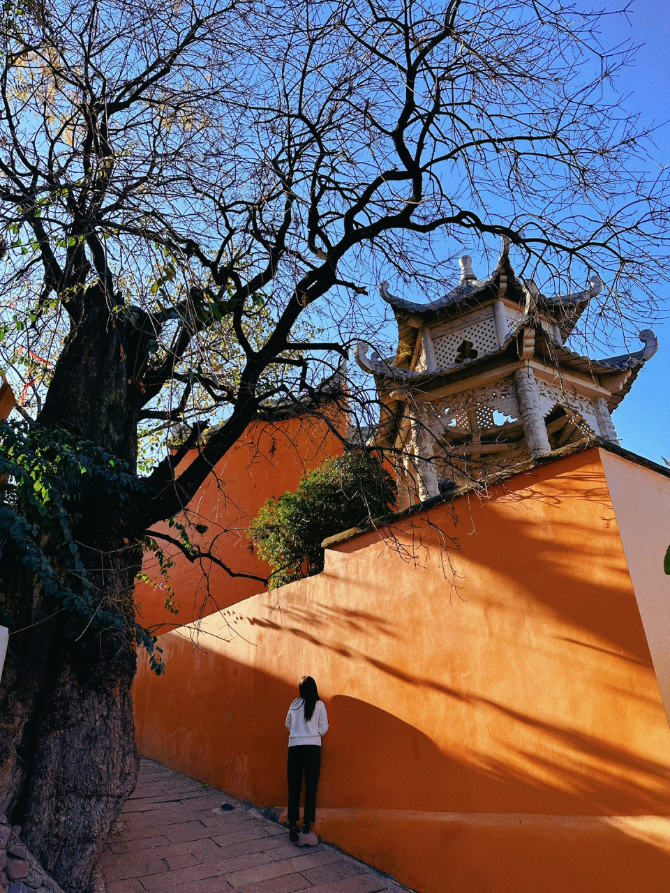 西昌大石板村灵鹰寺超出片,树影橙墙的浪漫   9694 大家好,我是