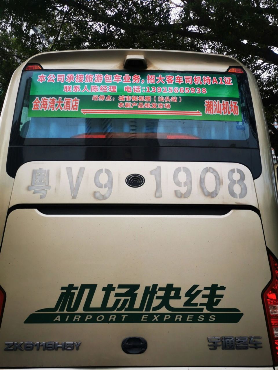 导航到金海湾大酒店,认准图三大狮子2.