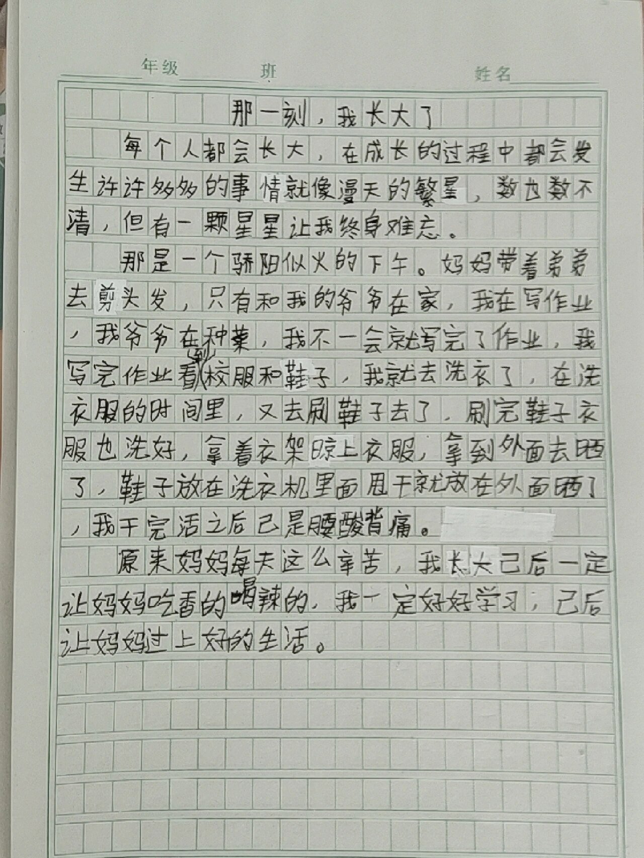 我长大了作文350字图片