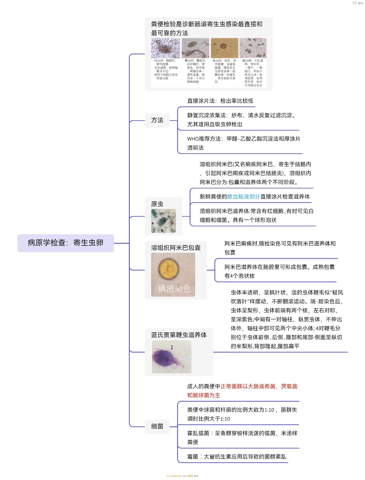 排便思维导图图片