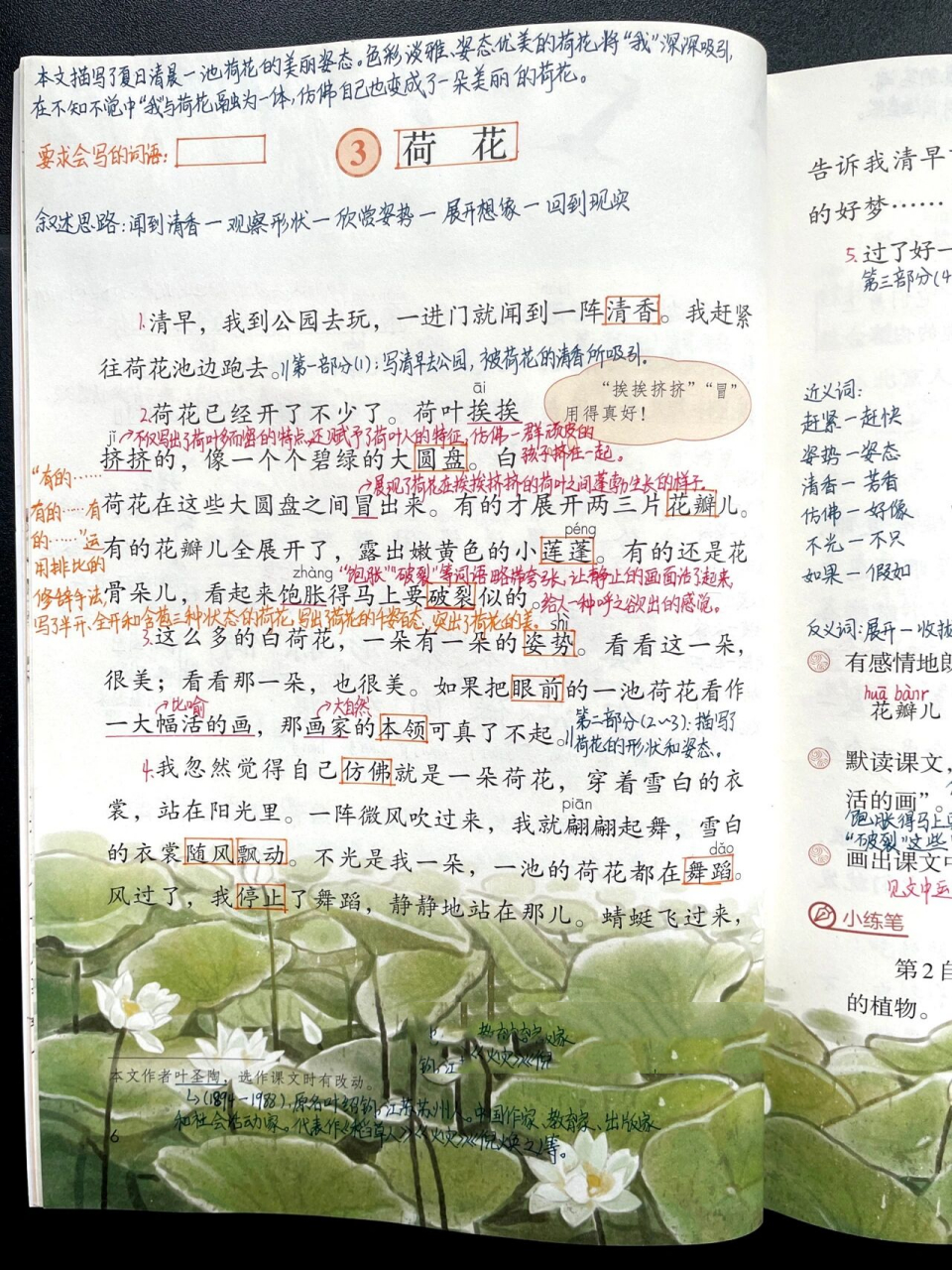 三下|三年级下册第3课《荷花》超详细课文 94学习目标 1.