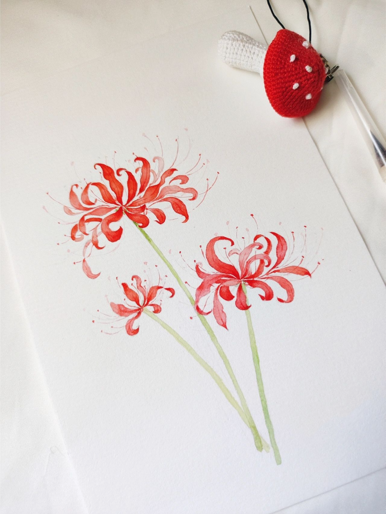 彼岸花水彩画教程|曼珠沙华,见花不见叶