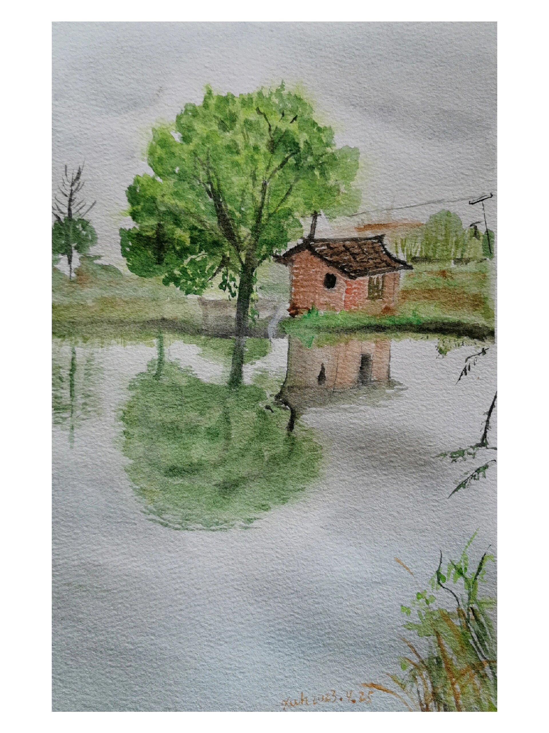 水彩写生:家乡的小池塘 我画的和我看到的