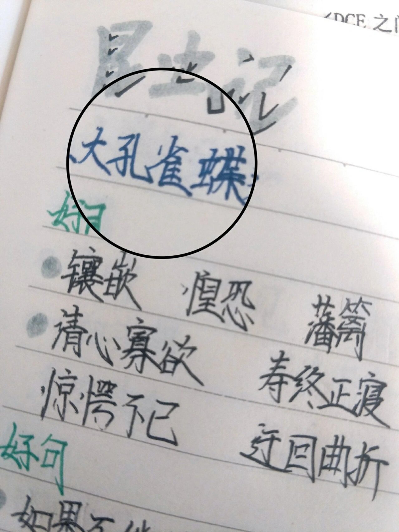 94昆虫记读书笔记‖第八章《大孔雀蝶》