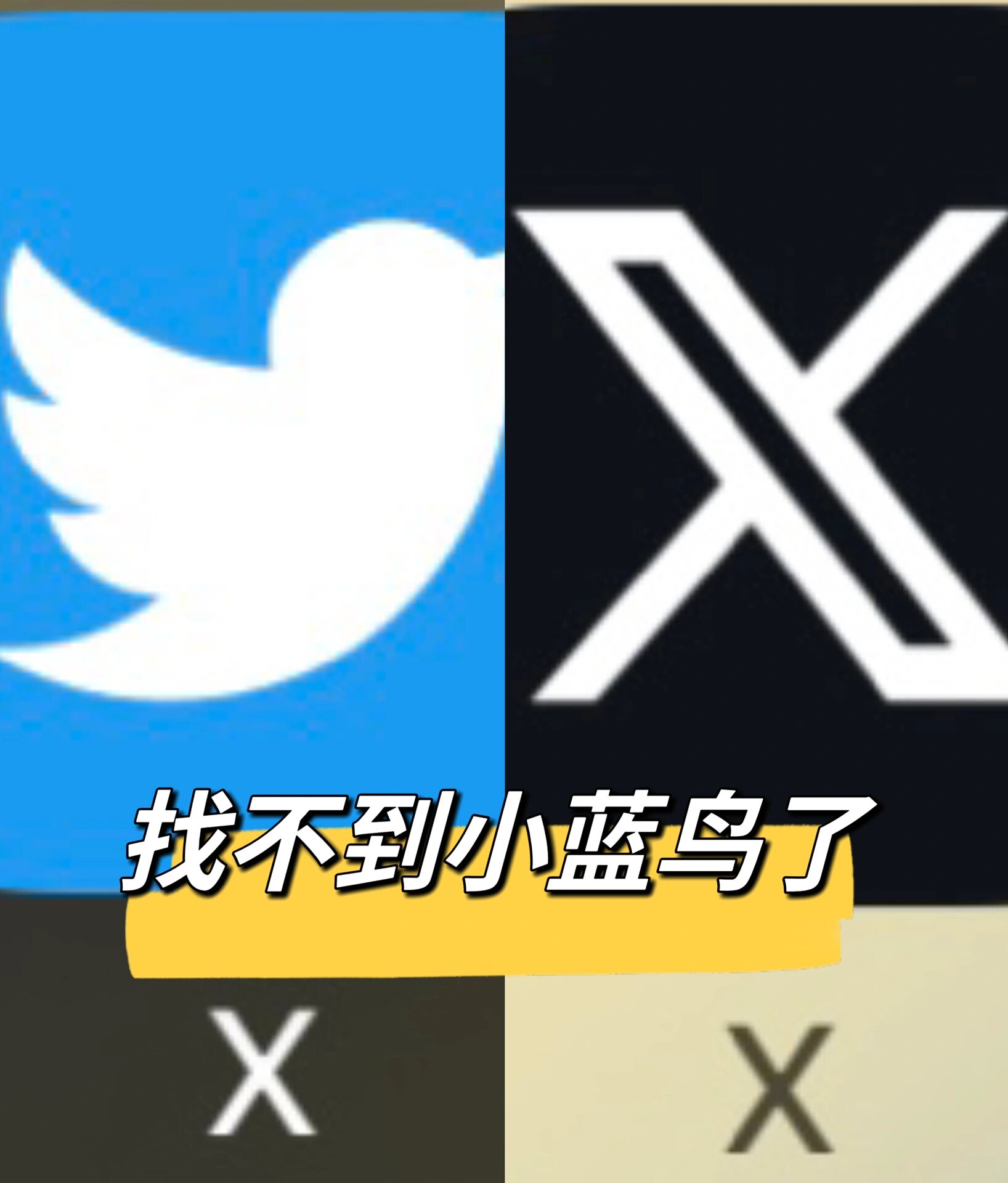 包罗
小蓝鸟twitter在线观看的词条