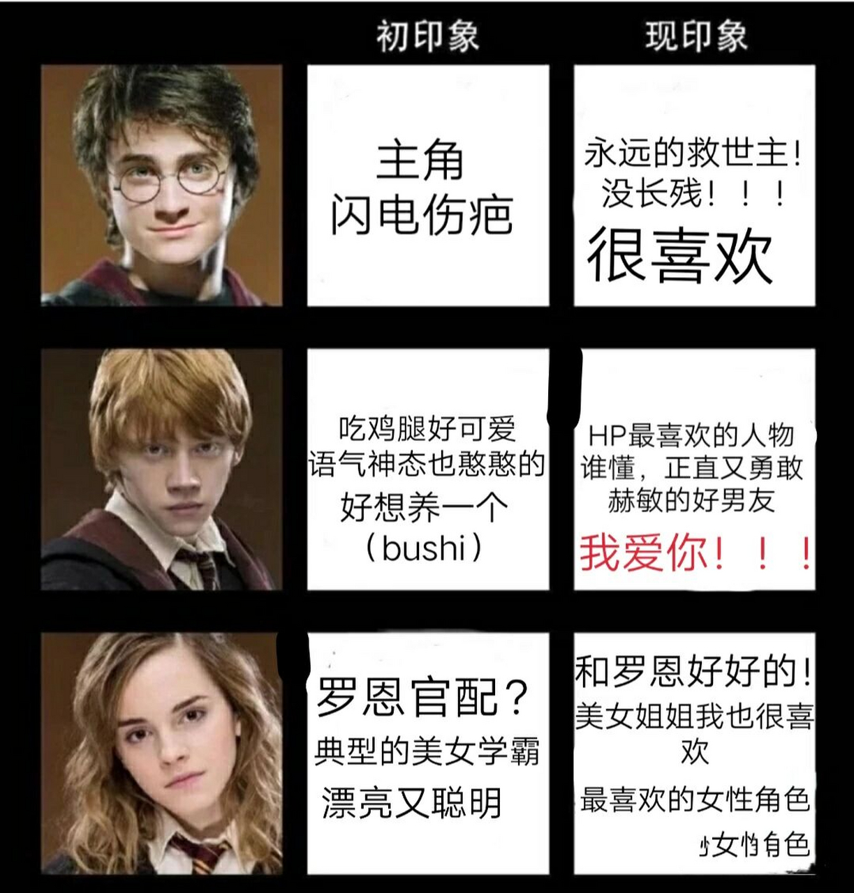 哈利波特人物印象表 我没有原图哦