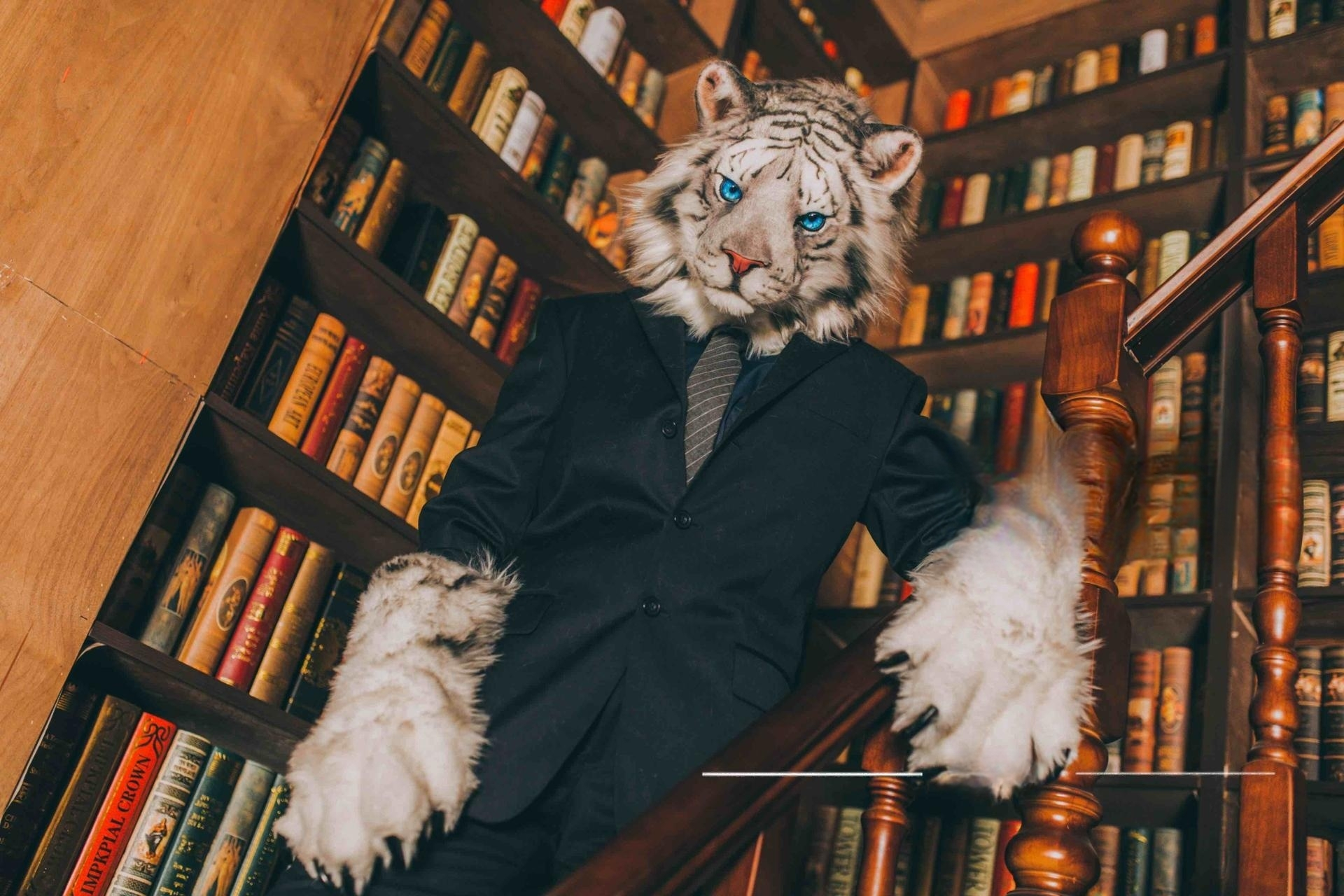 西装暴虎91 大老虎的返图来啦!