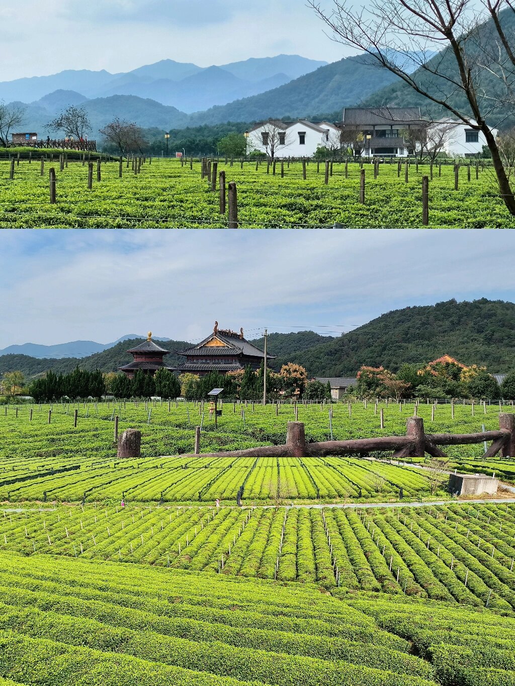 国庆去了人少安静的浙江绍兴平水平阳寺