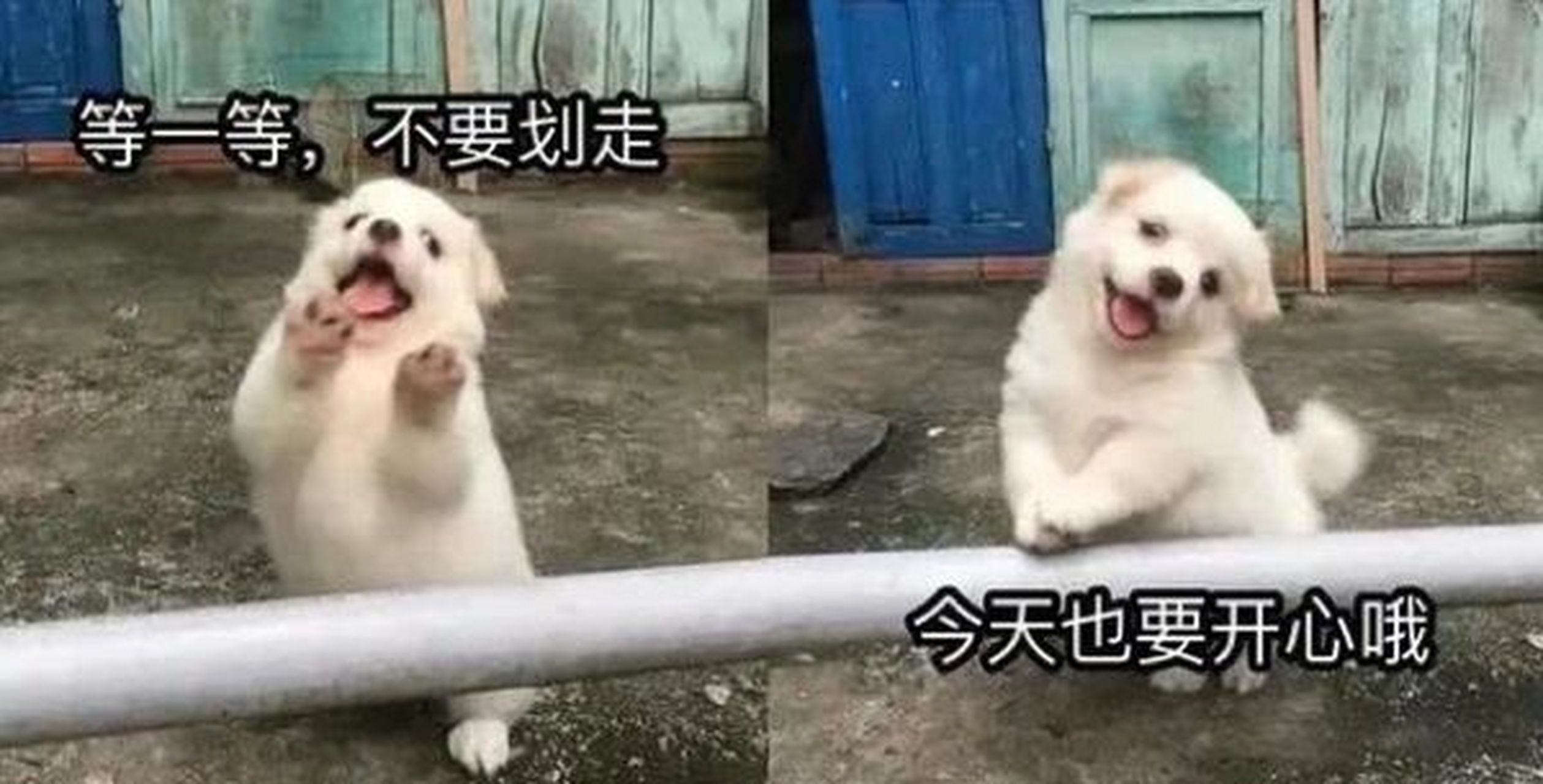开心的表情包 要开心一整天哦 朋友圈看到有uu分享的 来自豆瓣