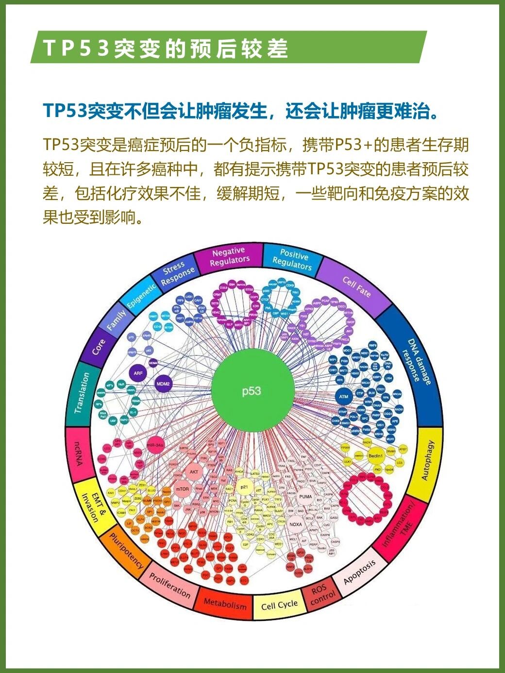 基因检测有tp53突变怎么办?