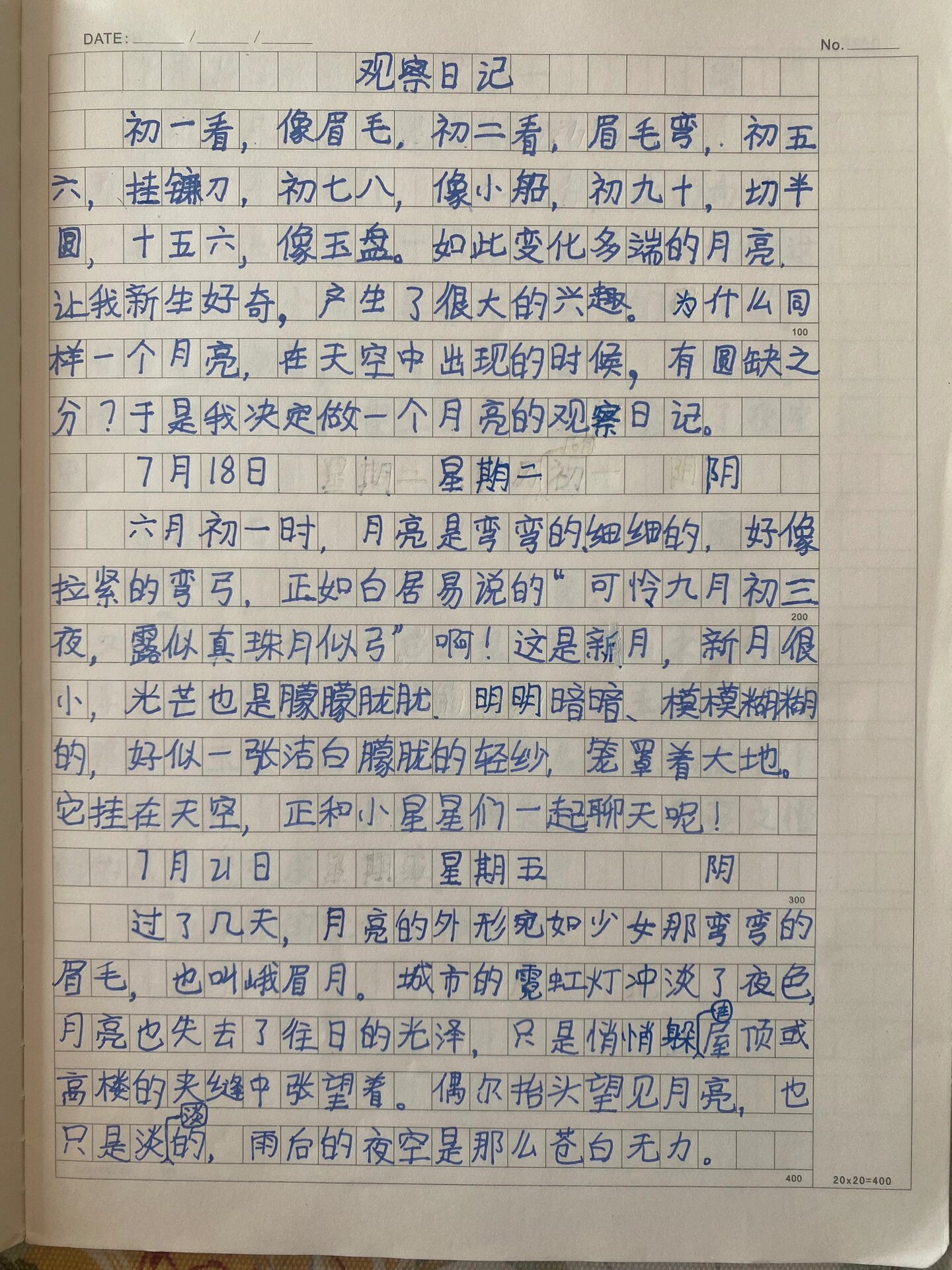 四年级日记200字观察图片