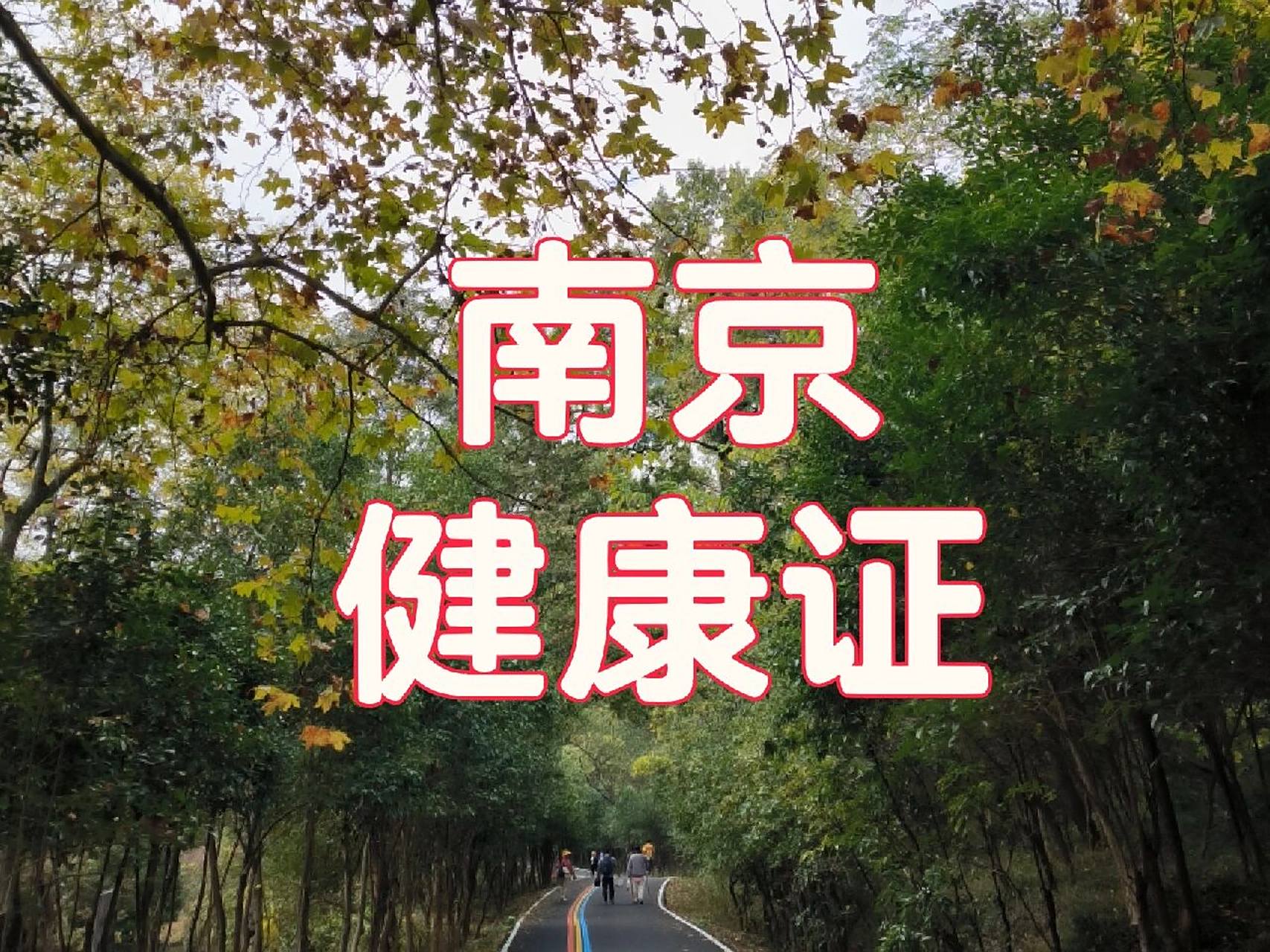 南京健康证个人也可以预约办理.