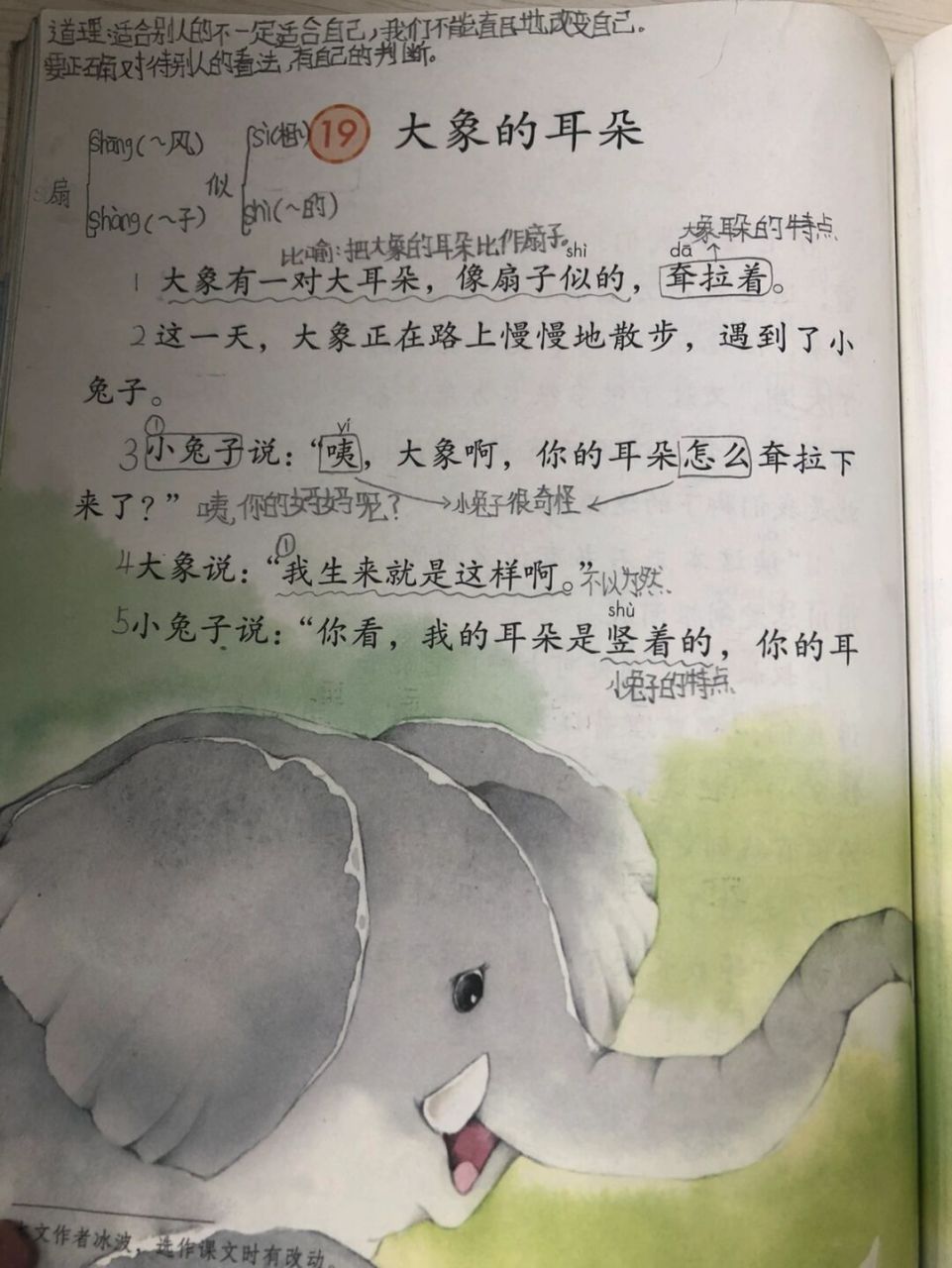 大象的耳朵笔记课文图片