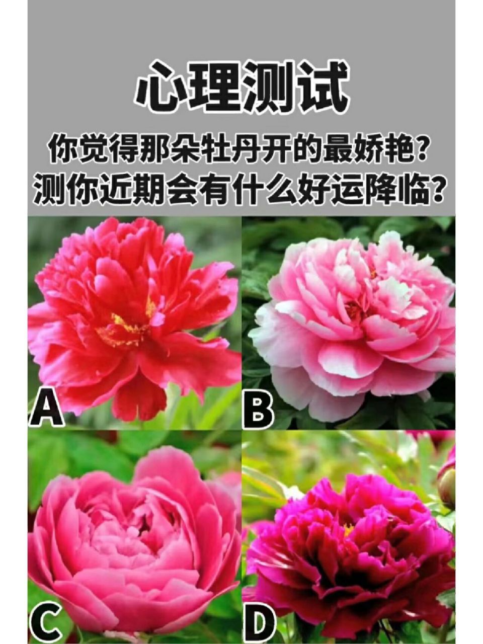 快进来测一测吧