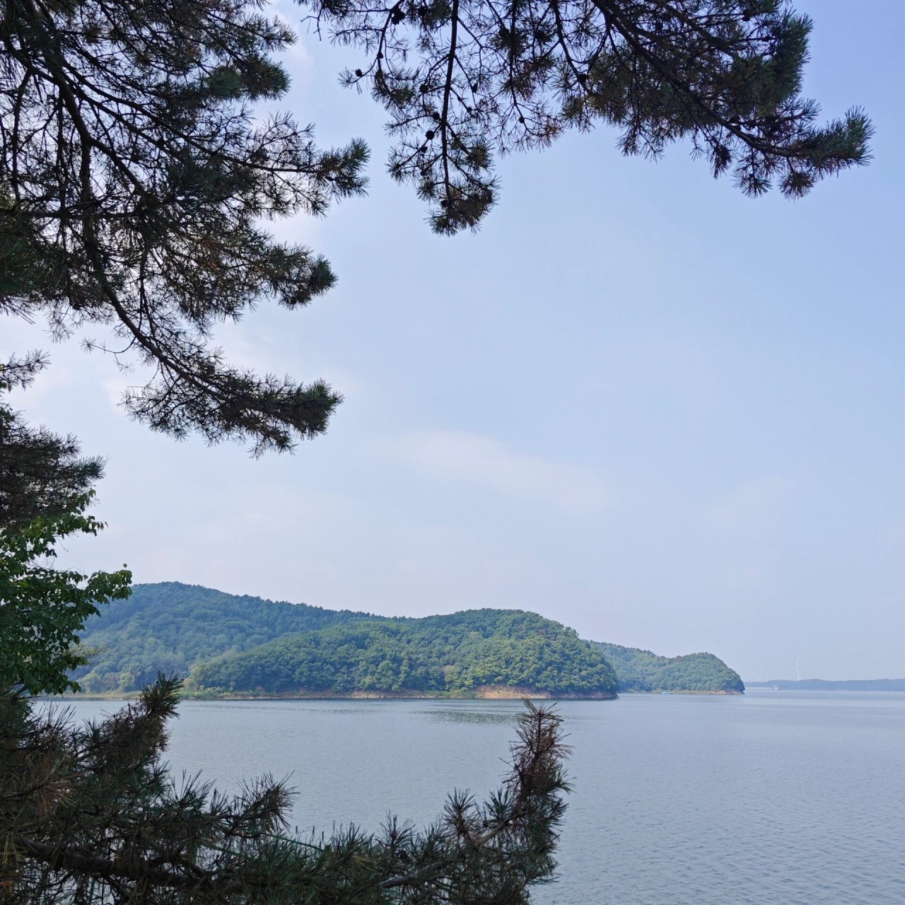 抚顺大伙房水库 唯一优点 免费景点