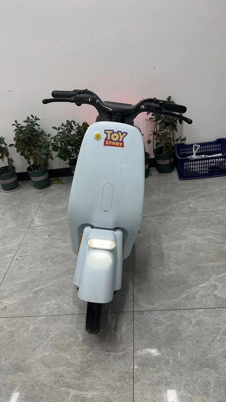 高颜值高性价比,东动电动车 东动新国标车子,颜值担当 车牌需要过户