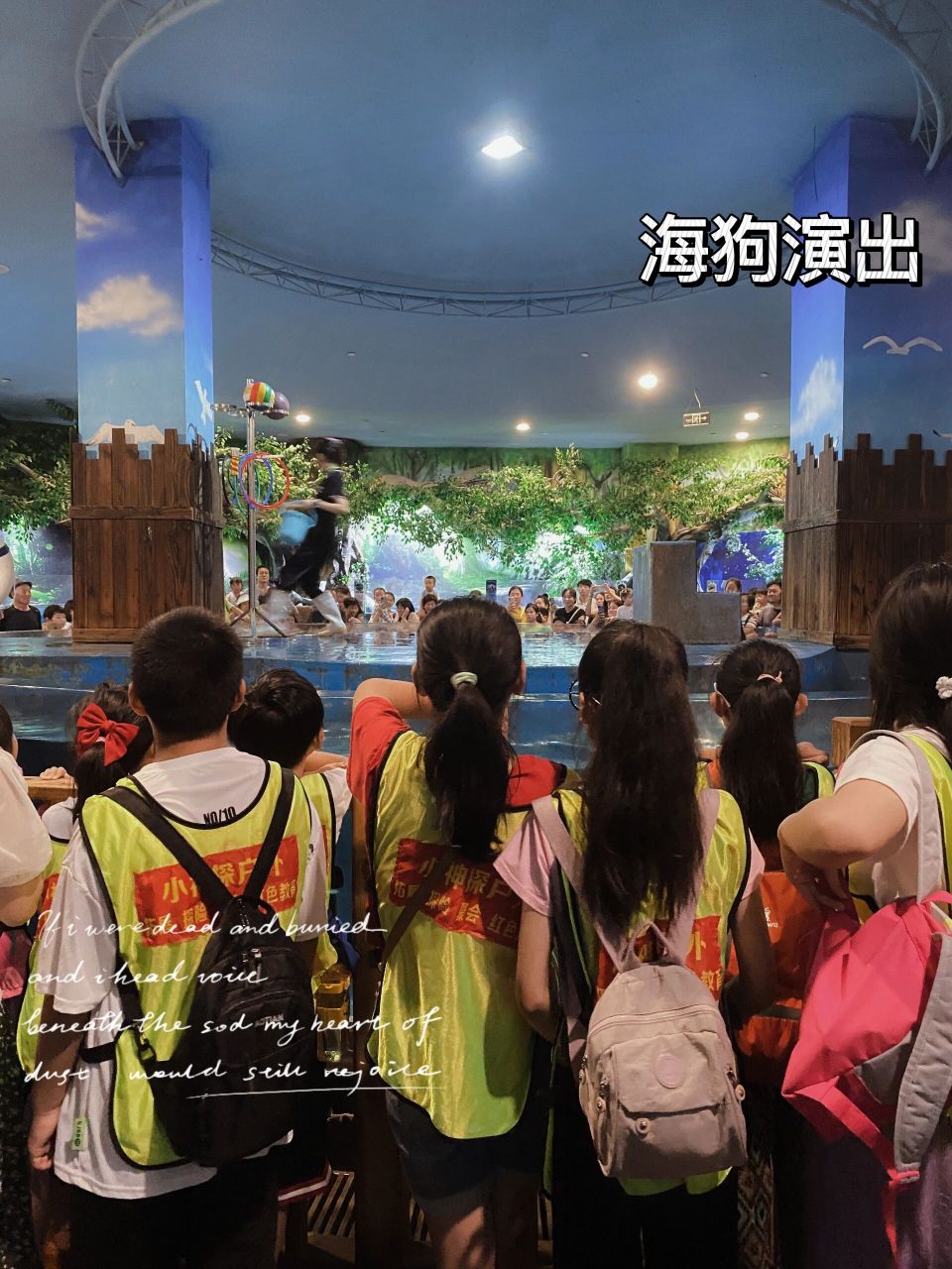 焦作遛娃/海洋馆之行/暑假活动 梦幻海洋馆 67没去海边 67那我们