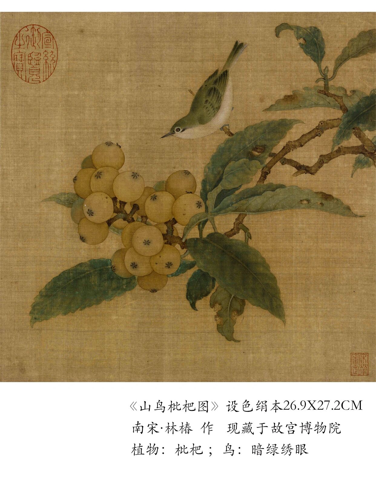 古画中的动植物,宋画花鸟《山鸟枇杷图》 宋代的花鸟画,不仅达到一种