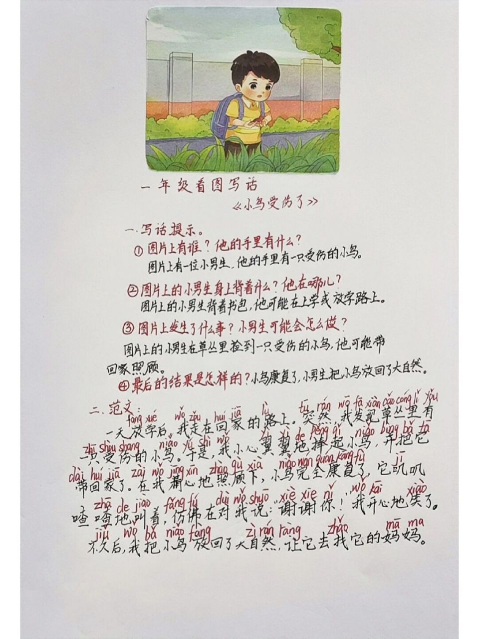 看图写话《小鸟受伤了》:观图,想象,写一篇通顺的话(附范文)