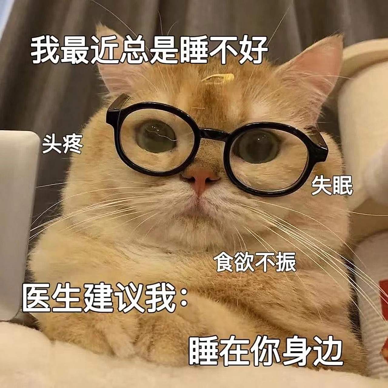 失眠表情包2 "不用担心啊,我每天都睡得很好07"