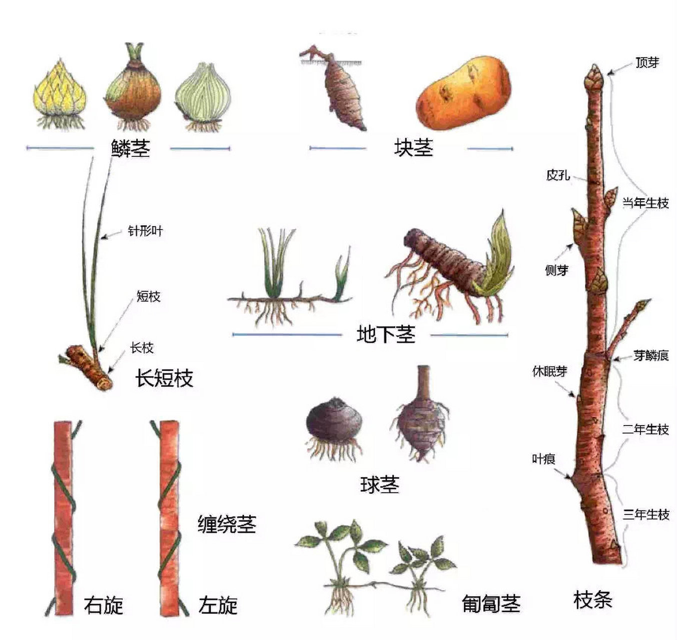 记得时常复习哦