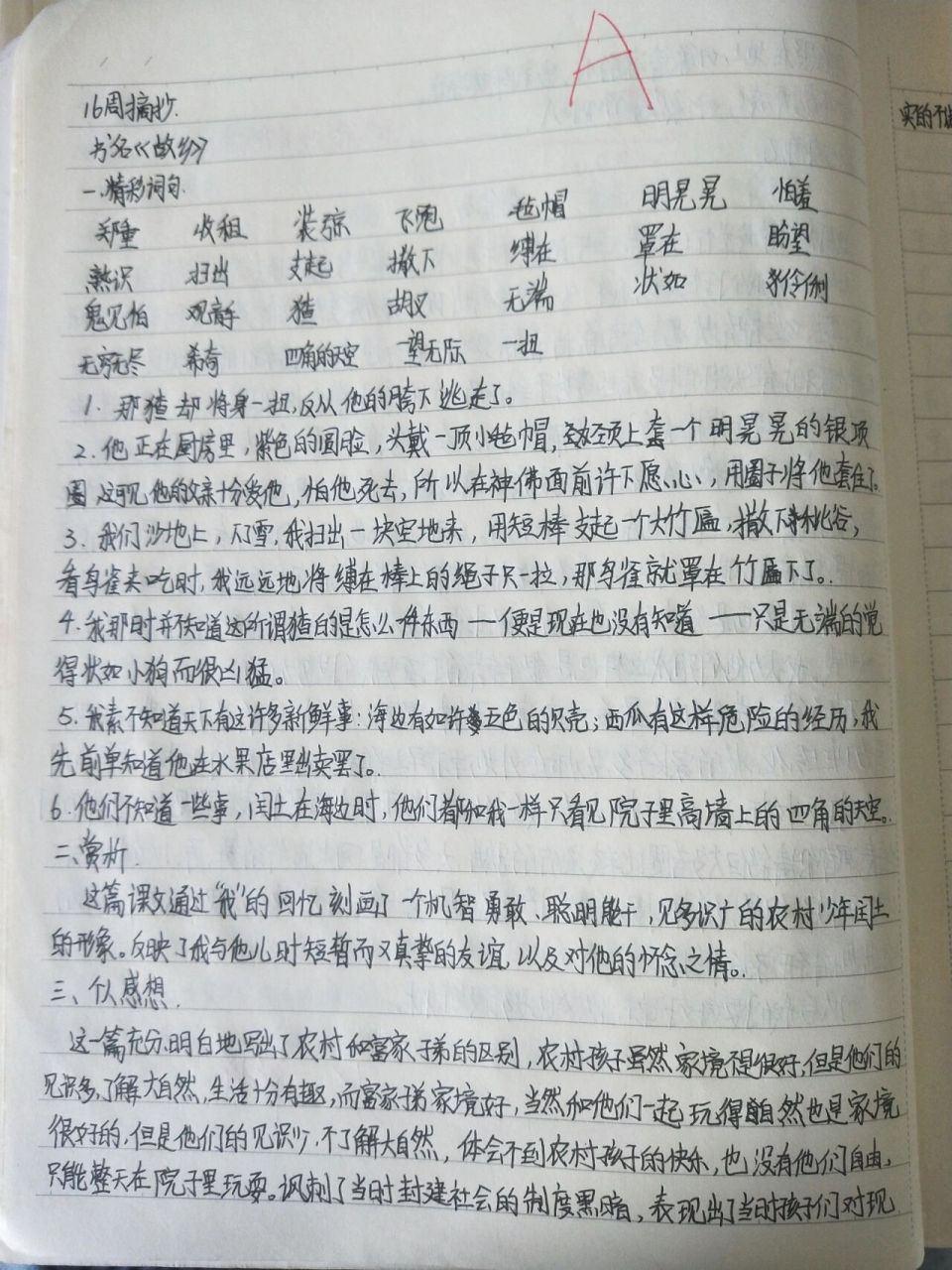 《故乡》读书笔记