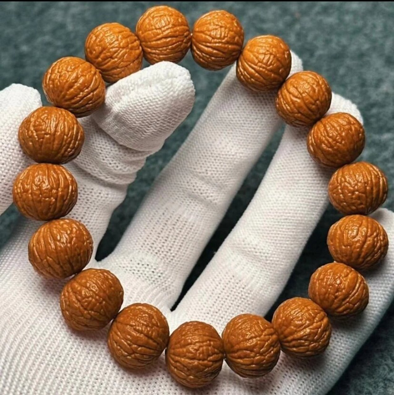 野生麒麟纹凤羽 终结者——猴头一代野生铁籽麒麟纹凤羽,满天星蚂蚁纹