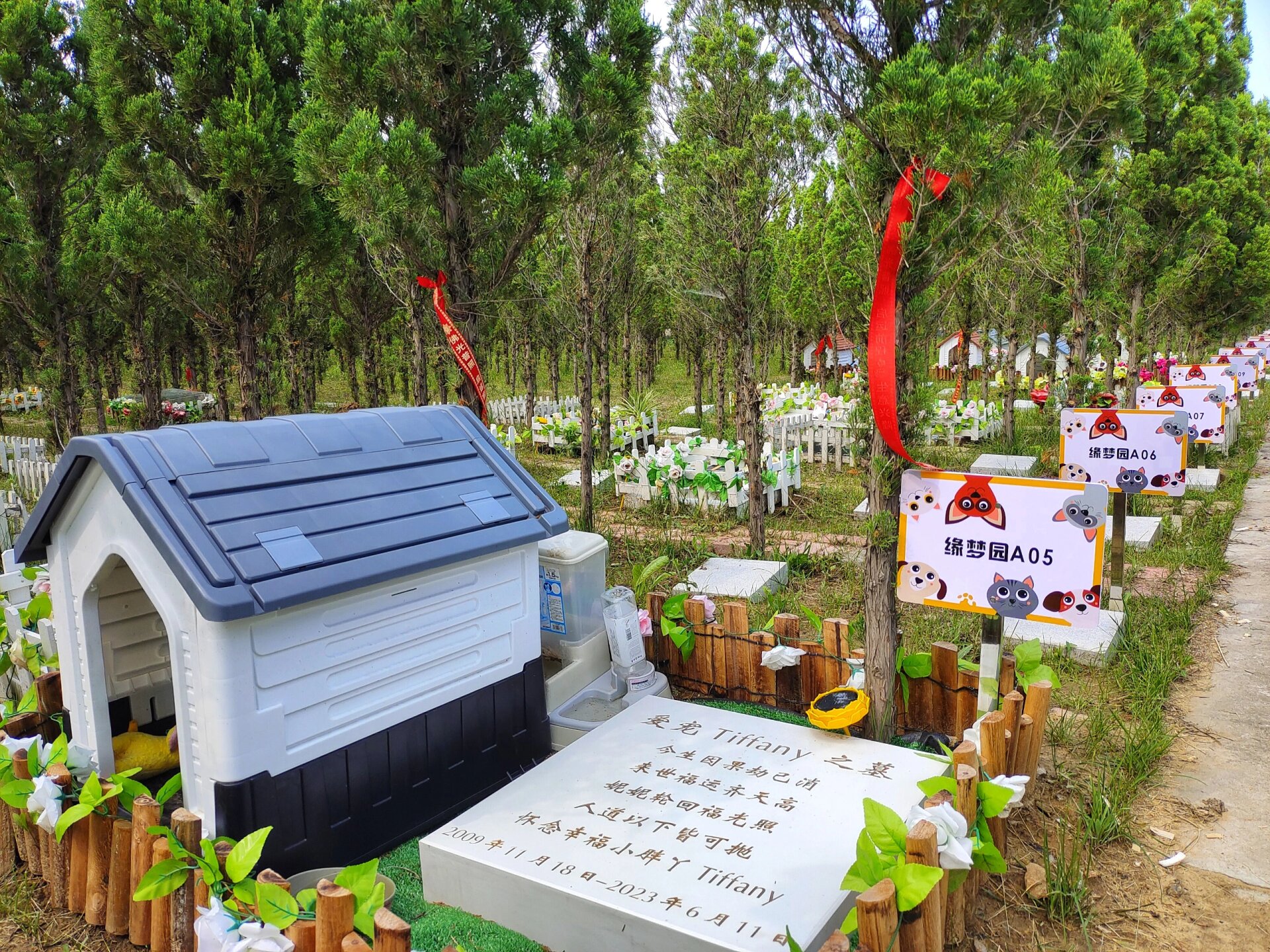 云天宠物庄园|沈阳宠物殡葬火化