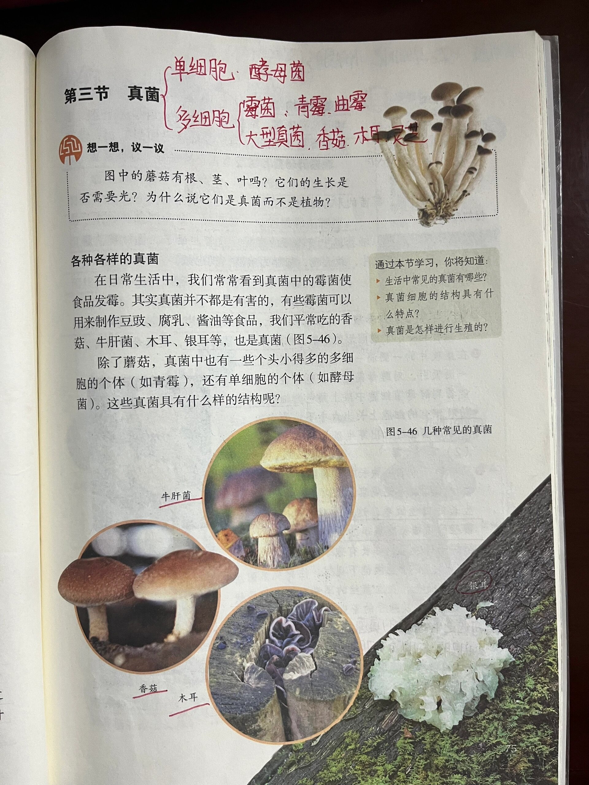 八上生物5.4.3真菌 课本笔记