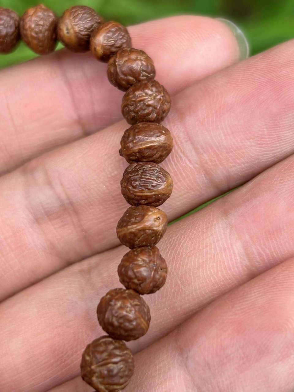 又到摘野酸枣核,做手串的季节了 野酸枣核,做手串也不错,盘玩很漂亮